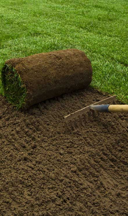 1st Choice Lawn Care & Landscaping Sod Installation