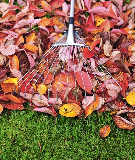 1st Choice Lawn Care & Landscaping Fall Clean Up